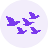 Kamara